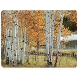 Pimpernel Placemats Birch Beauty autumn tree images yellow and gold