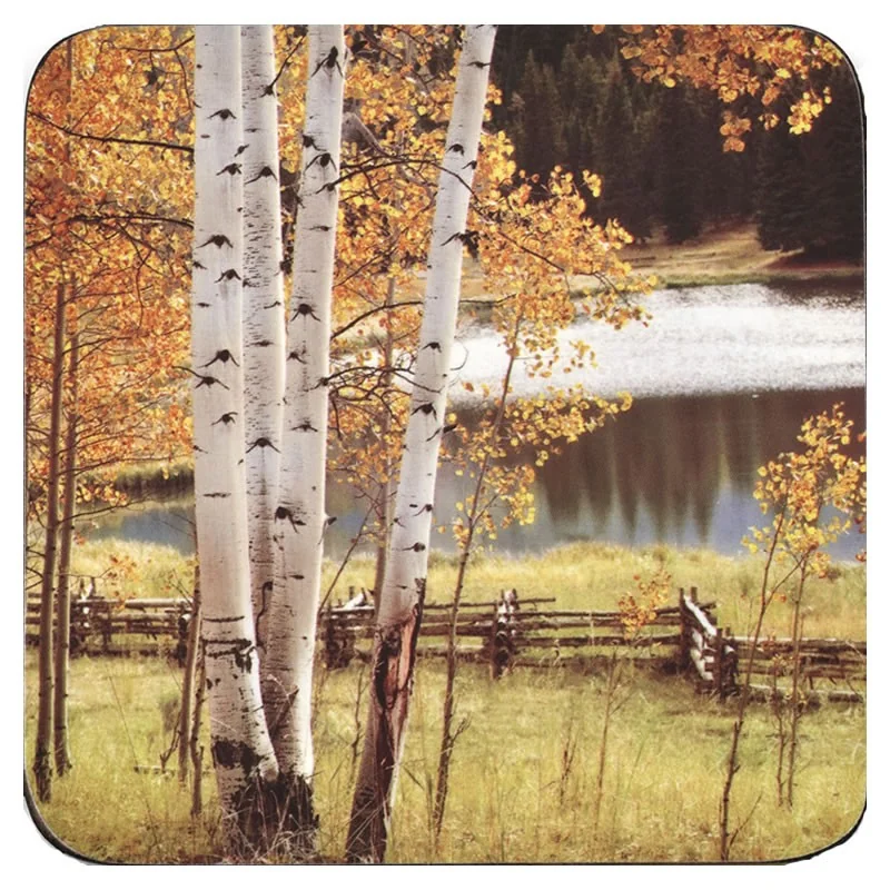 Pimpernel Coasters Birch Beauty tree design