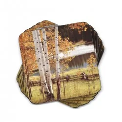 Pimpernel Coasters Birch Beauty tree design, fanned out view