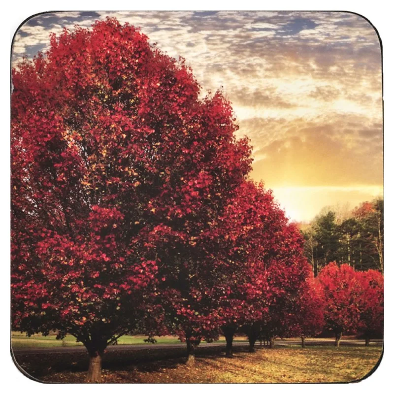 Crimson Trees coasters by Pimpernel, cork backed with red tree design
