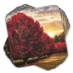Pimpernel Crimson Trees coasters, cork backed boxed view