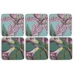 Drinks coaster set of 6 Botanic Garden Flora & Fauna pattern