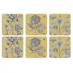 Etchings and Roses Yellow coasters from Pimpernel